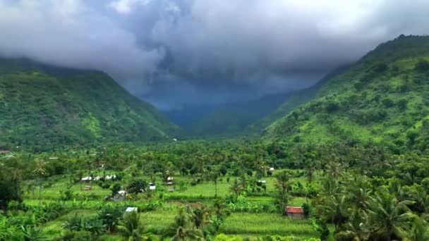 Vue aérienne du village d'Amed sur la côte nord de l'île de Bali avec de petites stations balnéaires et une plage de sable remplie de bateaux de pêche balinais traditionnels . — Video