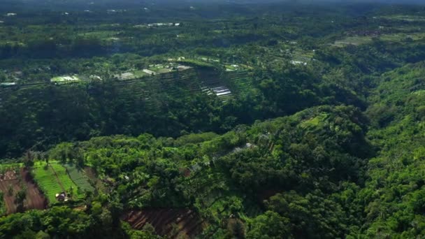 Vysoká nadmořská výška letecké video Bali vesnic s mírumilovnými zelenými rýžovými terasami pod mraky. — Stock video