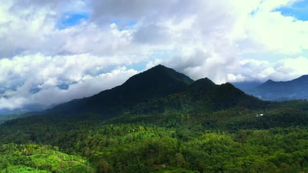 Vista aérea de uma montanha de floresta tropical com nuvens e névoa — Vídeo de Stock