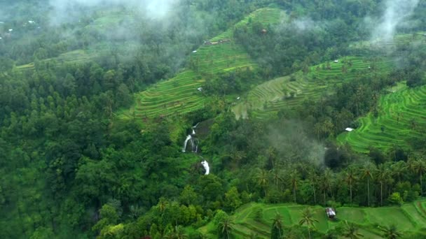 Luftaufnahme der balinesischen Landschaft mit Dorf, Wasserfall, Straßen, Reisterrassen durch Nebel und Wolken. Bali, Indonesien. — Stockvideo