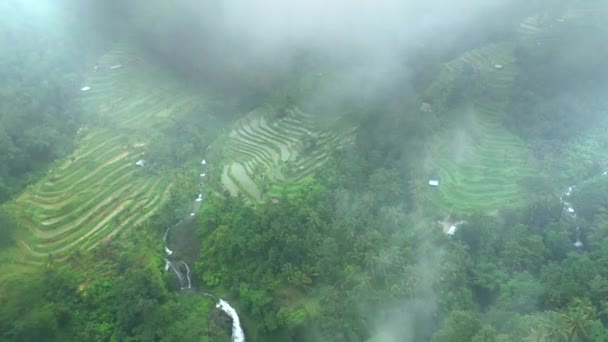 Vue aérienne du paysage balinais avec village, cascade, routes, rizières en terrasses à travers le brouillard et les nuages. Bali, Indonésie . — Video