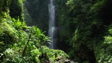Tropikal yağmur ormanlarında gizlenmiş bir şelalenin havadan görünüşü. Bali, Endonezya.