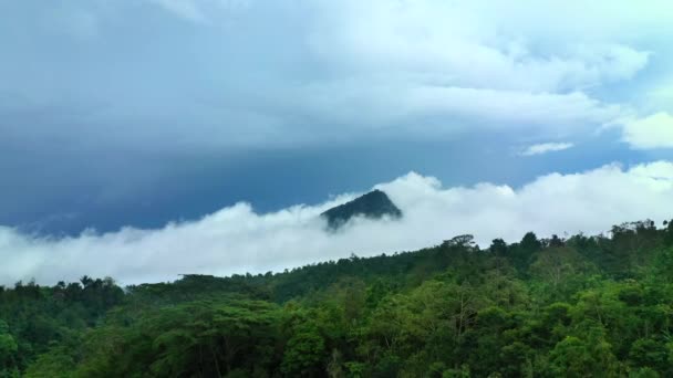 Vista aérea de nubes matutinas en las montañas. Hermoso pico de montaña dentro de una enorme nube . — Vídeos de Stock