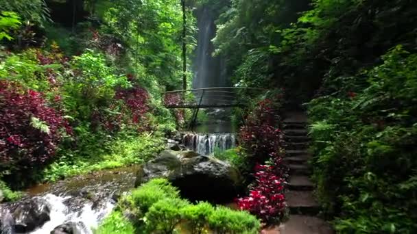 Вид с воздуха на бамбуковый деревянный мост с водопадом на заднем плане замедленного движения. Пейзаж красивого водопада и леса . — стоковое видео