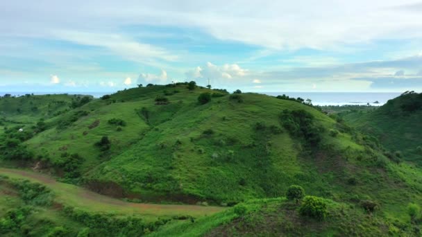 Vista aérea de uma paisagem pitoresca de colinas verdes e campos de milho no sul da ilha de Lombok. Indonésia . — Vídeo de Stock