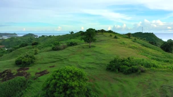 Vue aérienne d'un paysage pittoresque de collines verdoyantes et de champs de maïs dans le sud de l'île de Lombok. Indonésie . — Video