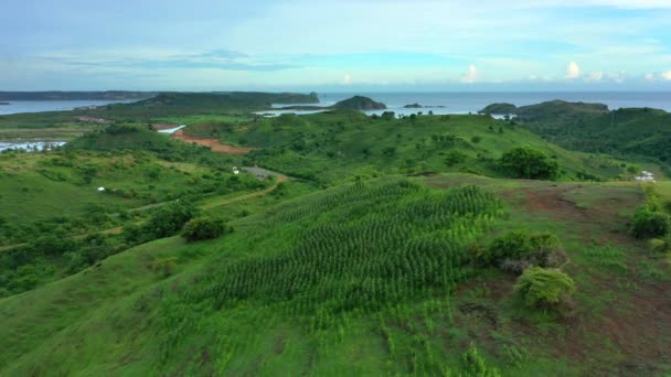 Uitzicht vanuit de lucht op een schilderachtig landschap van groene heuvels en maïsvelden in het zuiden van Lombok eiland. Indonesië. — Stockvideo