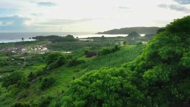 Vista aérea de uma paisagem pitoresca de colinas verdes e campos de milho no sul da ilha de Lombok. Indonésia . — Vídeo de Stock