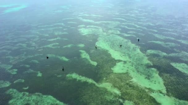 Вид с воздуха на рыбаков, стоящих в голубой чистой морской воде с удочками . — стоковое видео