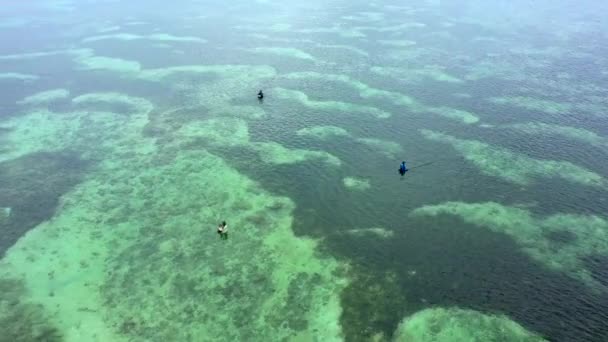 Вид с воздуха на рыбаков, стоящих в голубой чистой морской воде с удочками . — стоковое видео