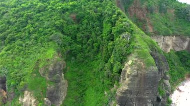 Güzel yemyeşil orman ve arka planda dağ sırasının havadan görünüşü. Lombok, Endonezya.
