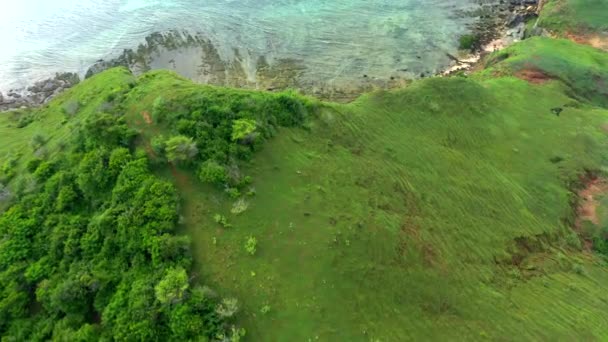 Luchtfoto Uitzicht op prachtige weelderige groene jungle bos en bergketen op de achtergrond. Lombok, Indonesië. — Stockvideo