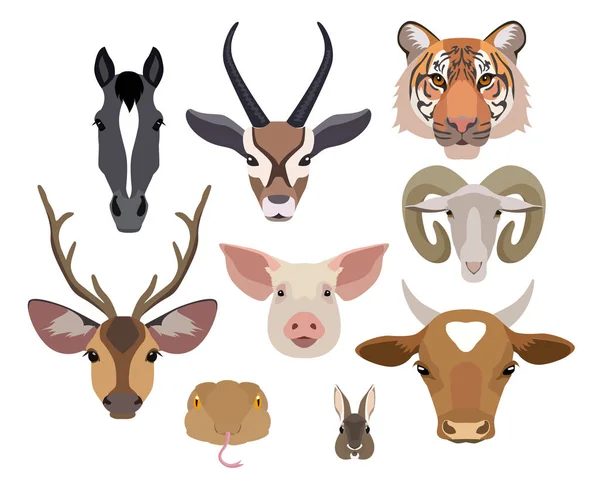 Colección de cabezas de animales vectores. Piso, elementos de diseño de estilo de dibujos animados — Archivo Imágenes Vectoriales