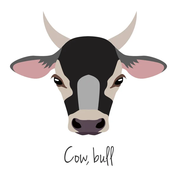 Vector vaca, cabeza de toro. animal de granja. estilo de dibujos animados plana — Vector de stock