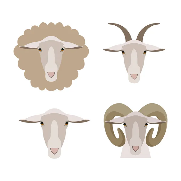 Ovejas vectoriales, cabeza de cordero de carnero de cabra aislada. Piso, estilo de dibujos animados — Archivo Imágenes Vectoriales