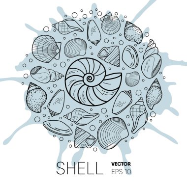 Vektör deniz kabuğu kompozisyon. Splash arka plan üzerinde düz stil öğesi