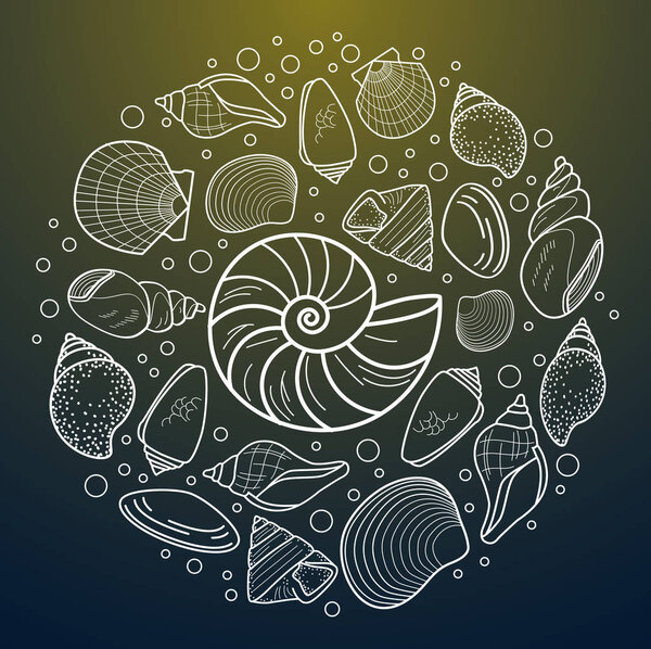 Vector sea shell composition. Flat style element on dark background