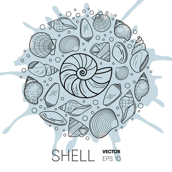 ベクトルの海の貝殻の組成。スプラッシュの背景上のフラット スタイルの要素 — ストックベクタ