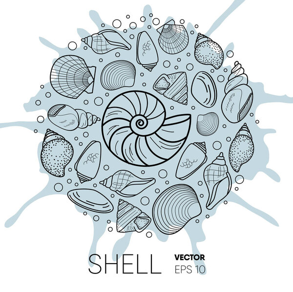 Vector sea shell composition. Flat style element on splash background