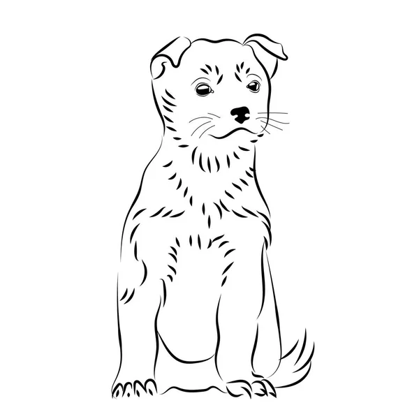 Vector filhote de cachorro desenhado à mão esboço isolado — Vetor de Stock