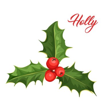 Holly ökseotu çobanpüskülü bırakır Noel vektör