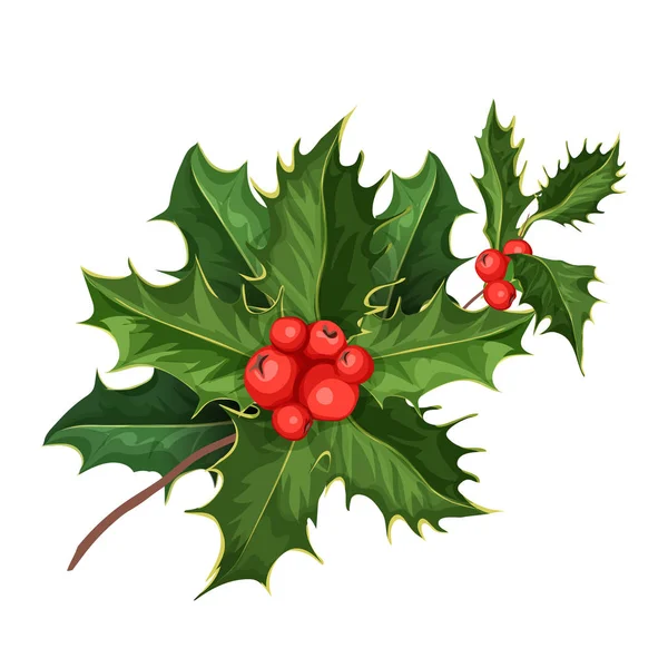 Boże Narodzenie, holly Jemioła ilex liście wektor — Wektor stockowy