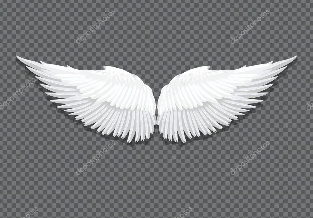 Vector realistic white angel wings on transparent