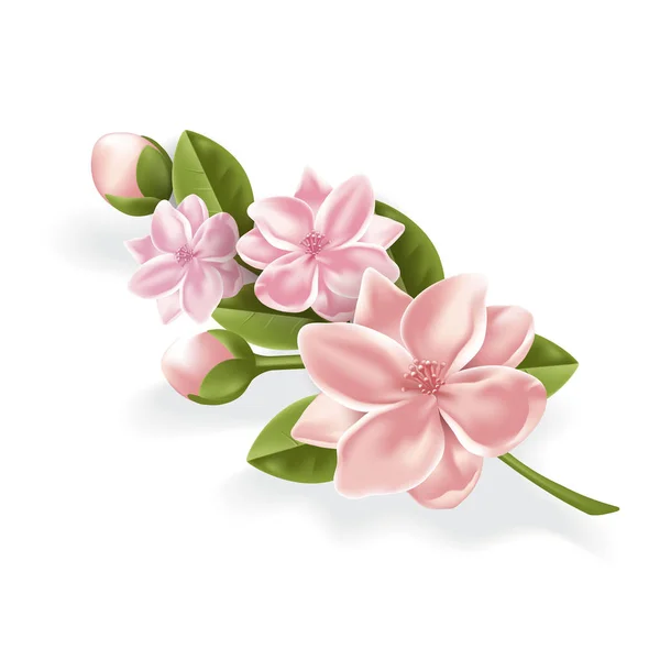 Vektör gerçekçi Pembe çiçek, kiraz, lotos şube — Stok Vektör