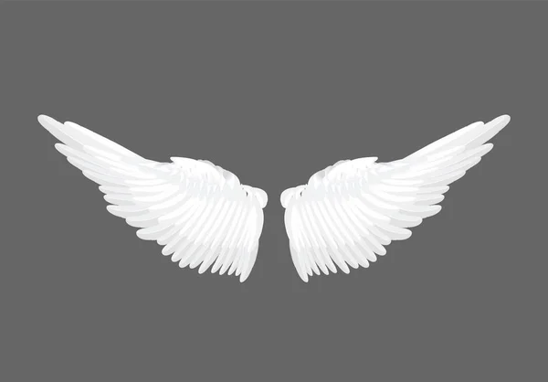 Vektor reális fehér angyal szárnyak — Stock Vector