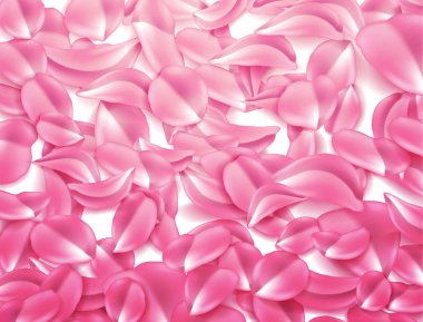 Vektör gül, kiraz, sakura petal arka plan