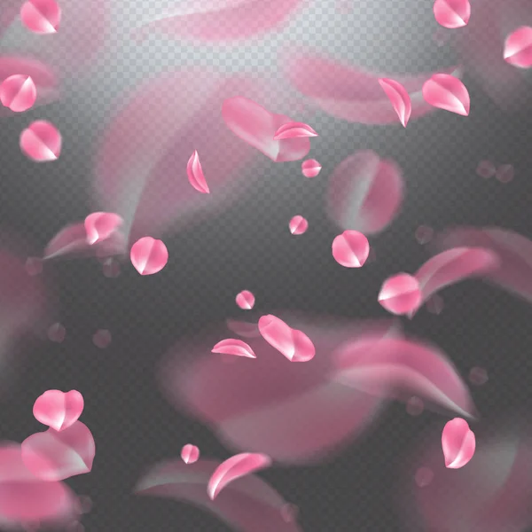 Vetor realista rosa, cereja, sakura pétala — Vetor de Stock