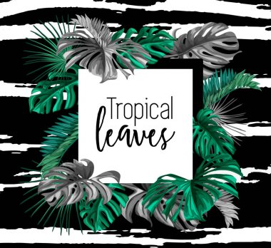 Vektör tropikal egzotik yaz afiş bırakır