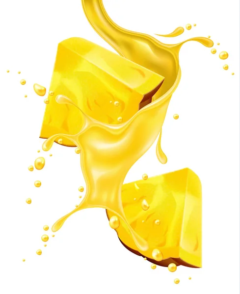 Vector realistische ananas SAP splash segment — Stockvector