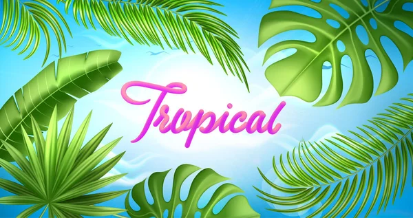 Vector realistische tropische verlaat exotische vakantie — Stockvector