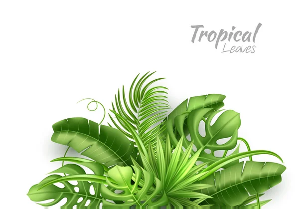 Realistické tropical vektorové listy exotické dovolené — Stockový vektor