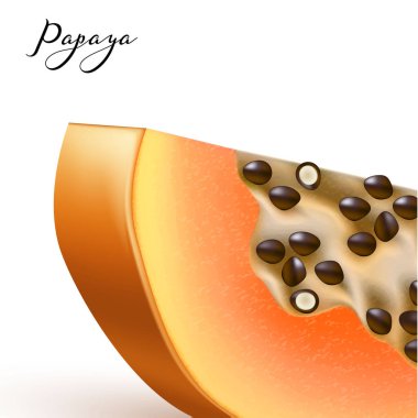 Vektör gerçekçi 3d papaya izole papaya portre