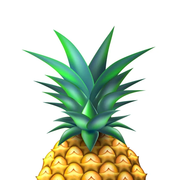 Piña realista verano exótico fruta primer plano — Vector de stock