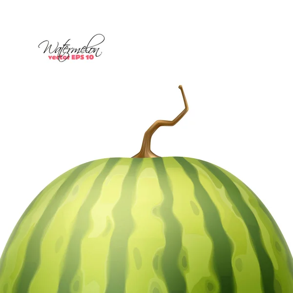 Vector realista sandía fruta 3d — Vector de stock