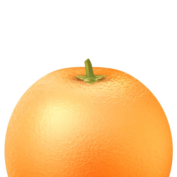 Vector realistic orange fruit 3d isolated close seup — стоковый вектор
