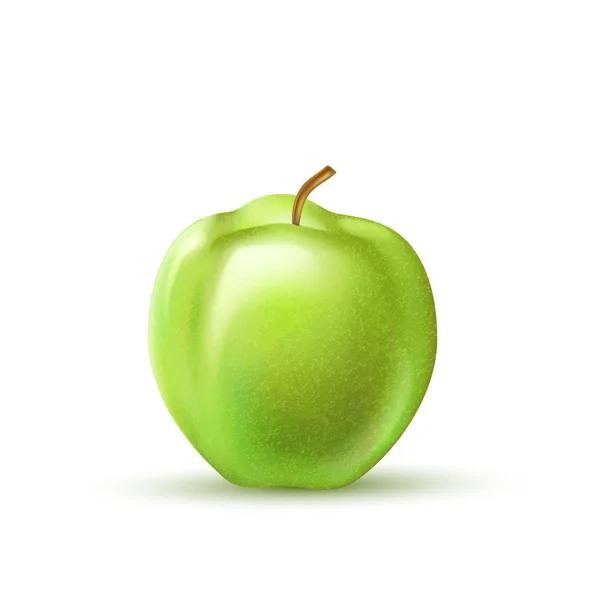 Vector realistische groene appel fruit 3d geïsoleerd — Stockvector