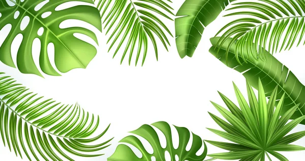 矢量逼真的热带树叶异国情调假期 — 图库矢量图片
