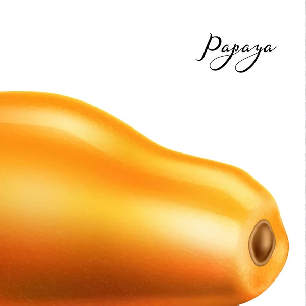 Vector realistiska 3d papaya pawpaw isolerade närbild — Stock vektor