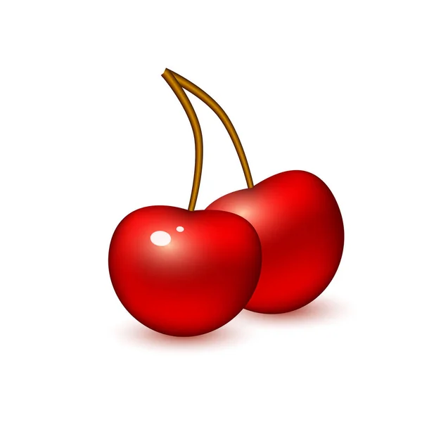 Vector realistische cherry bessen fruit 3d geïsoleerd — Stockvector