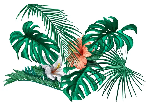 ベクトル熱帯の葉のモンステラ ヤシ ハイビスカス セット — ストックベクタ
