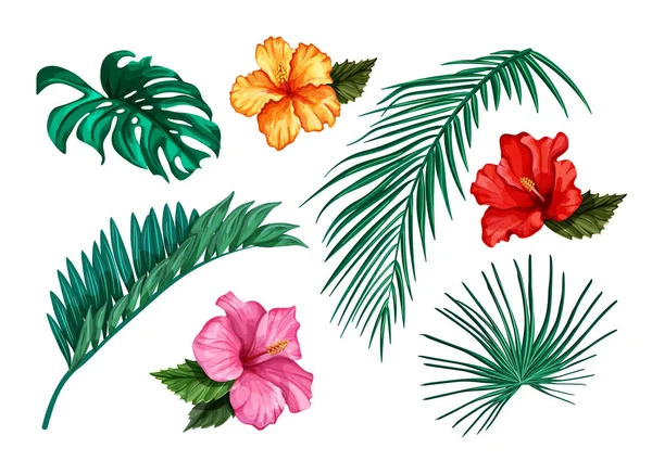 Vektör tropikal yaprak monstera palm hibiscus set