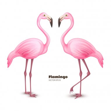 Vektör gerçekçi 3d pembe flamingo ayarla