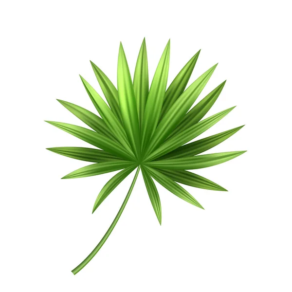 3D tropikal palmiye yaprağı egzotik tatil vektör — Stok Vektör