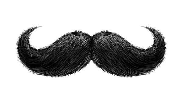 Vector realista bigote negro — Vector de stock