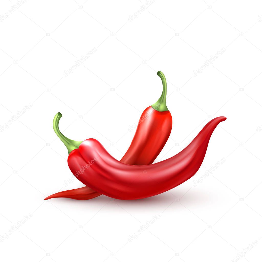 Vector realistic red hot chili pepper