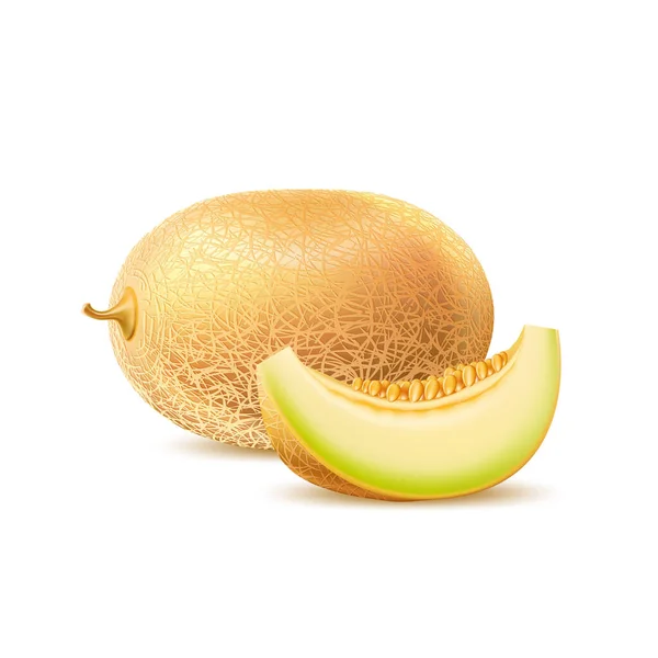 Vector realista redondo melón fresco con rebanada — Vector de stock